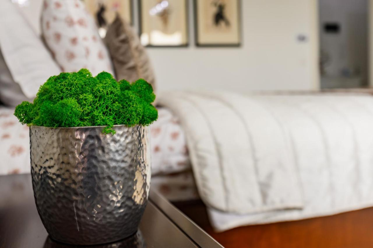 Luxury Apartment Avantgarden 3 布拉索夫 外观 照片